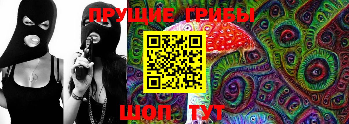 Артём  Псилоцибиновые грибы Psilocybe  Вход с VPN  Галлюциногенные грибы Cubensis 